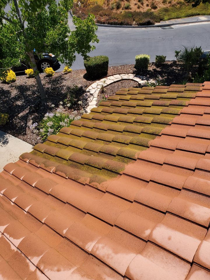 A tile roof half covered in green moss and half washed clean